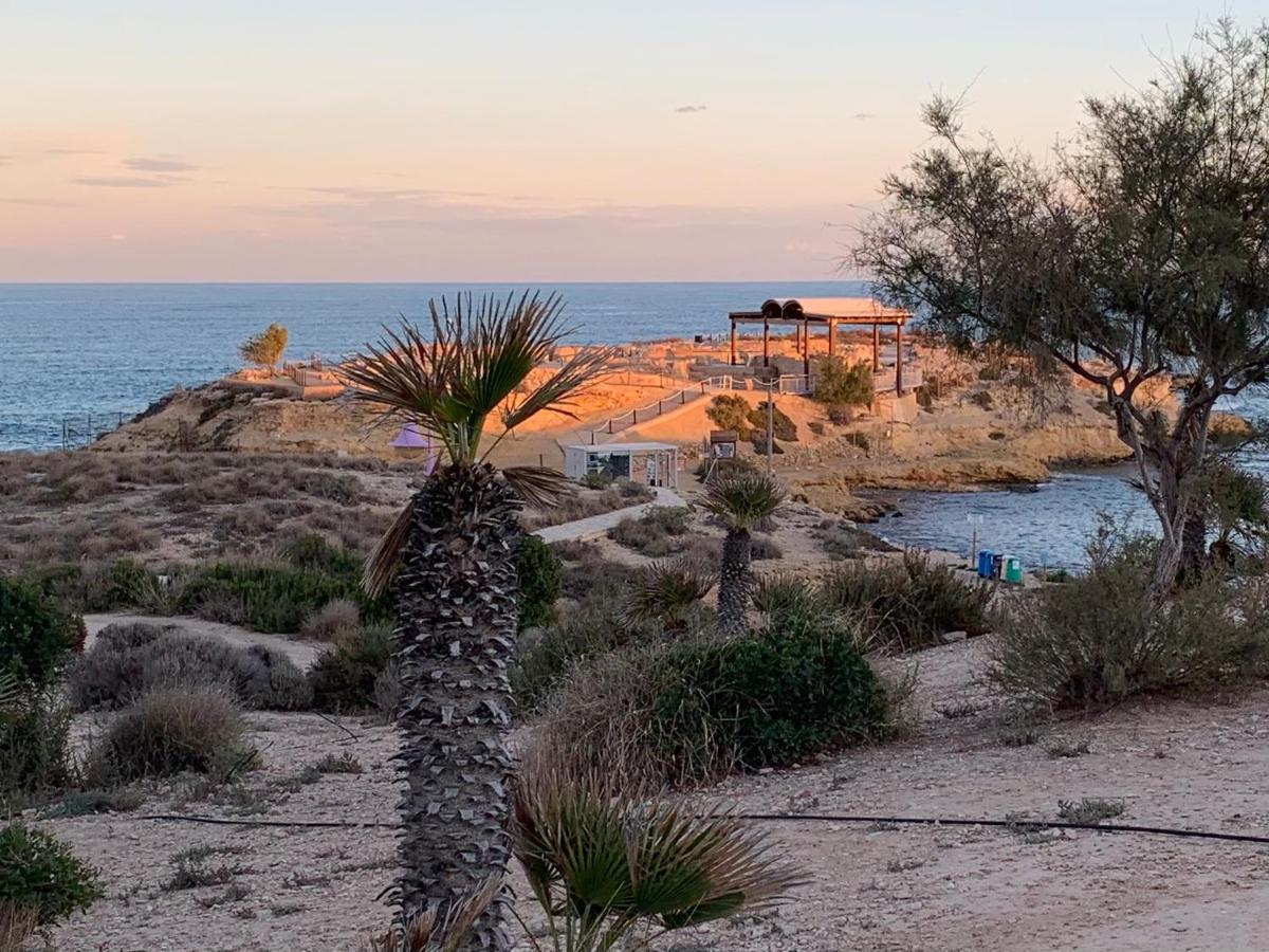 Cabo Mar Lägenhet El Campello Exteriör bild